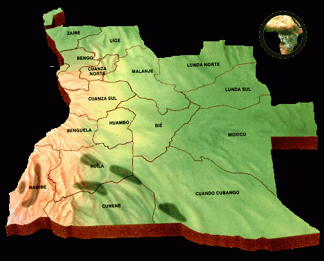 Morfologia Angola